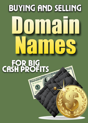 Product picture Domain Profits : Domain Flippers Handbook With PLR
